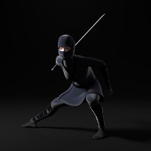 Female Ninja 2.0 preview image